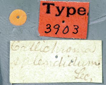 Media type: image;   Entomology 3903 Aspect: labels